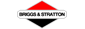 Briggs and Stratton Parts