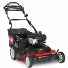 Toro 20199